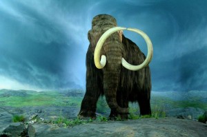 woolly_mammoth-300x199.jpg
